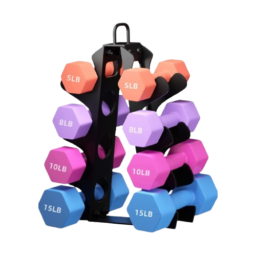 Dumbbell Set